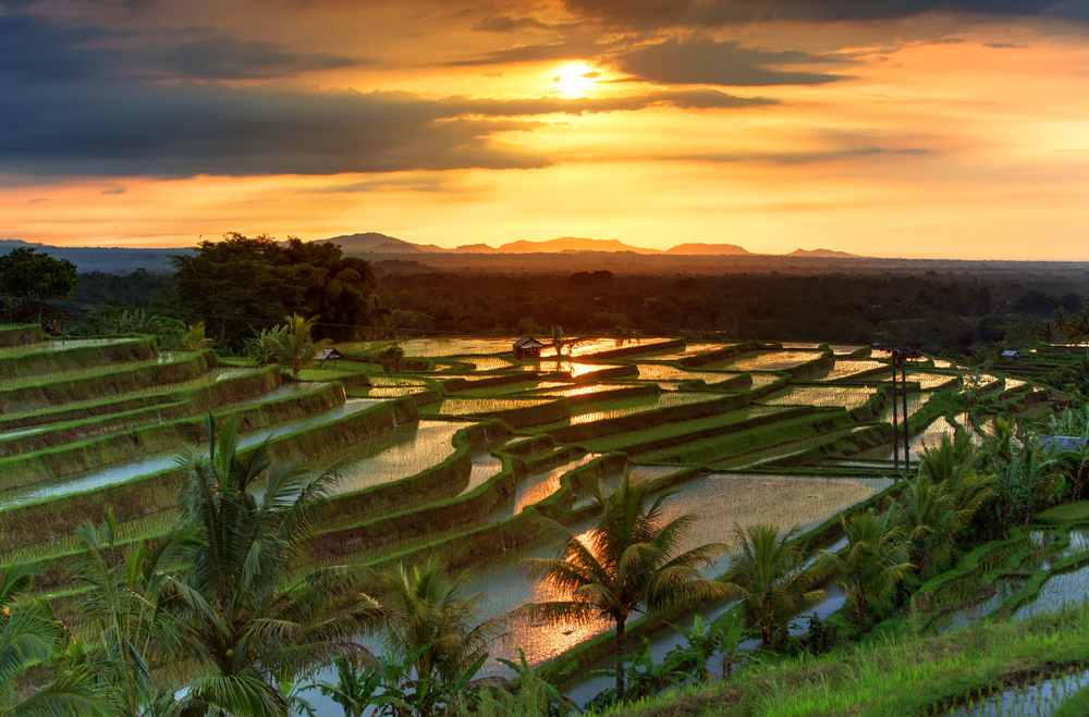 Bali: Die schönsten Strände inmitten des indischen Ozeans