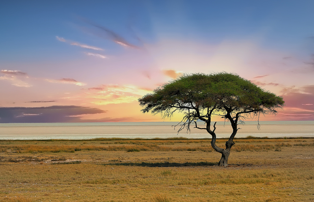 Faszinierendes Namibia: Zwischen europäischem Kolonialstil und wildem Afrika