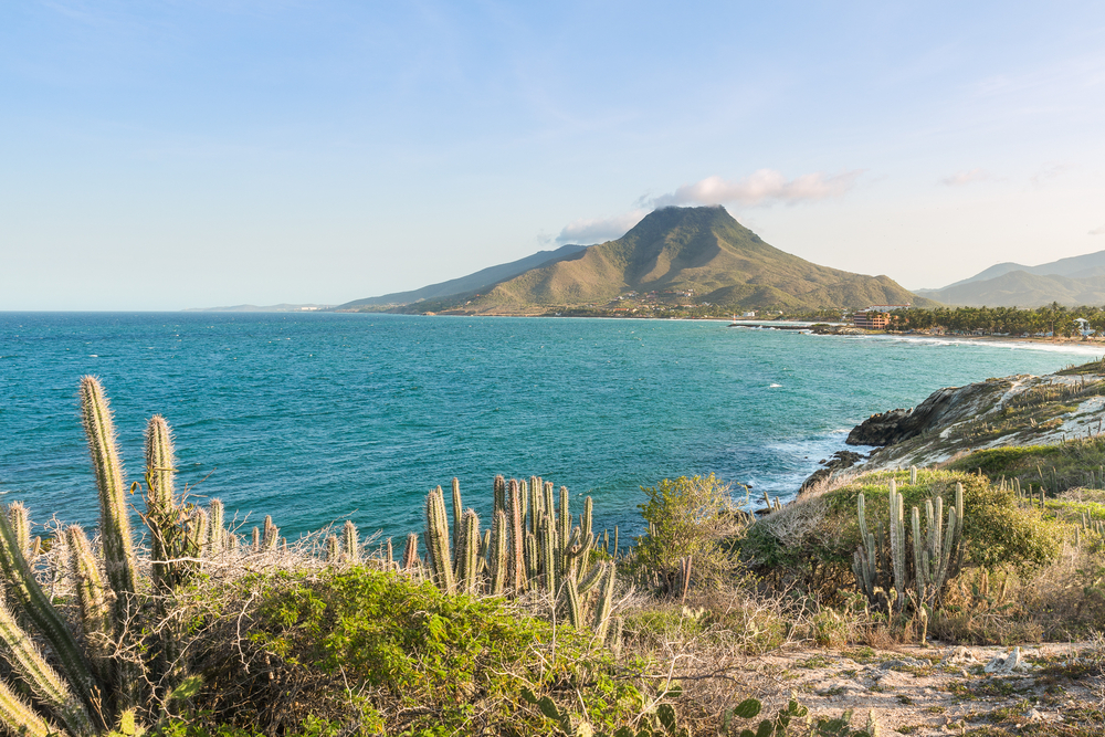 Flora und Fauna Isla Margarita