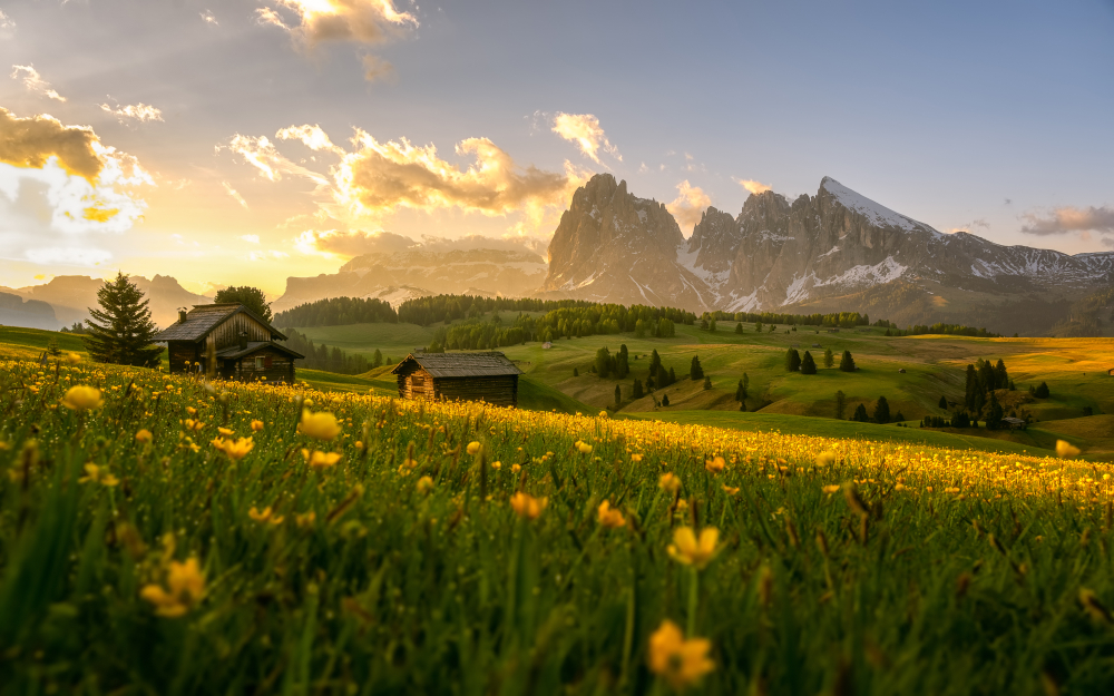 Urlaub auf der größten Hochalm Europas: Die Seiser Alm ist ein Kleinod für Naturliebhaber