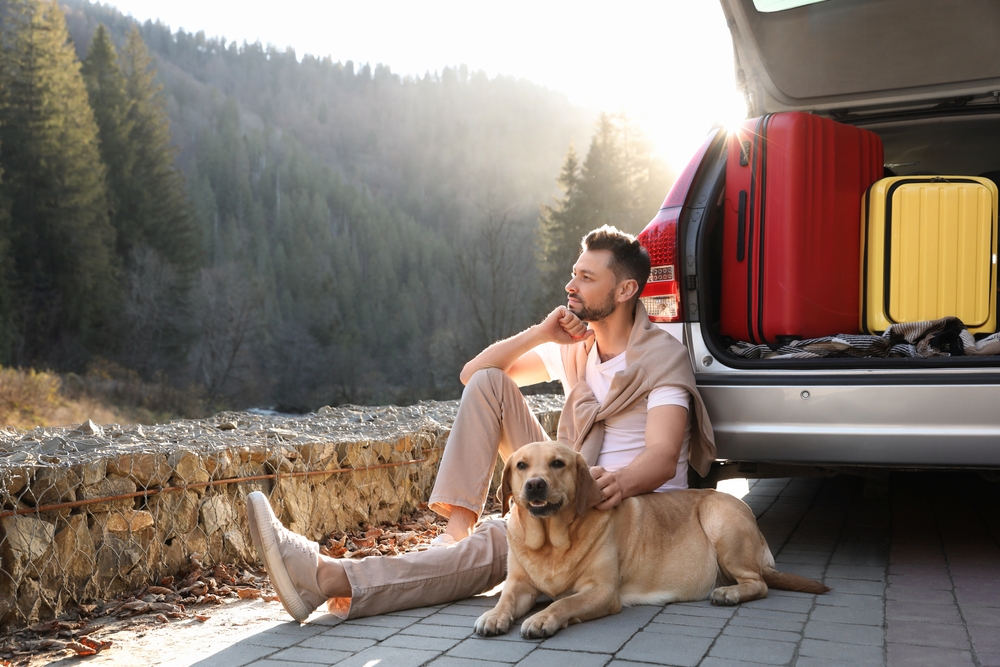 Urlaub mit Hund: Tipps und Tricks für die Auszeit mit dem Vierbeiner