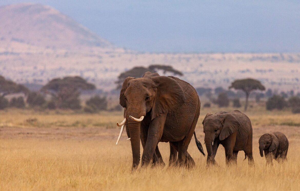 Afrikas Auseinanderbrechen: Ursachen, Folgen und ein Blick in die Zukunft